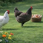 Holiday home Tranquille Vienne A Dept Charente
