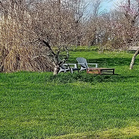 Tranquille Vienne A Dept Charente Hébergement de vacances Chirac (Charente)