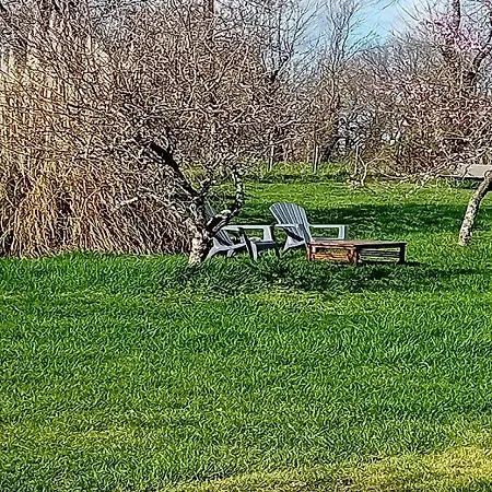Tranquille Vienne A Dept Charente Nyaraló Chirac