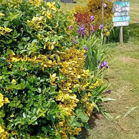 Tranquille Vienne A Dept Charente Nyaraló *