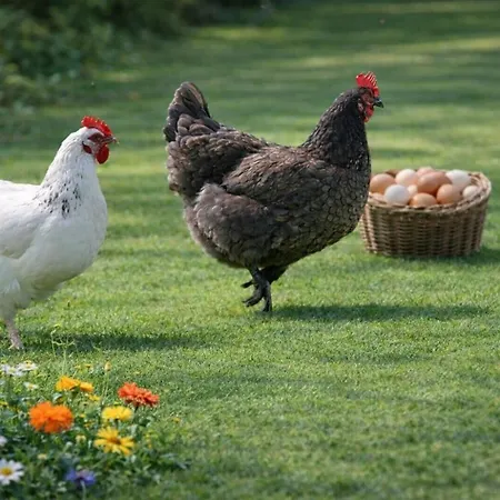 Vakantiehuis Tranquille Vienne A Dept Charente