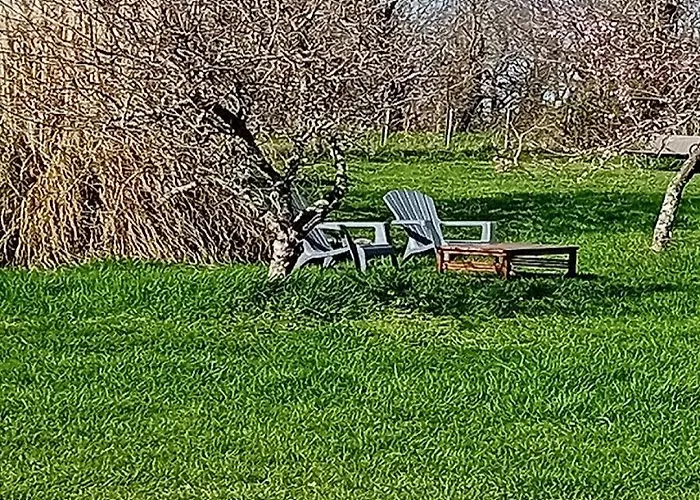 Tranquille Vienne A Dept Charente Holiday home Chirac (Charente)