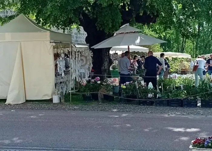 Holiday home Tranquille Vienne A Dept Charente