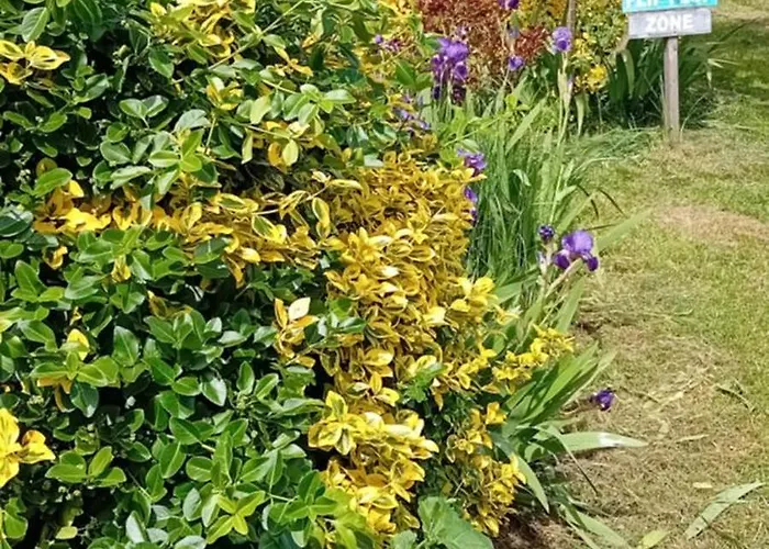 Tranquille Vienne A Dept Charente Holiday home *